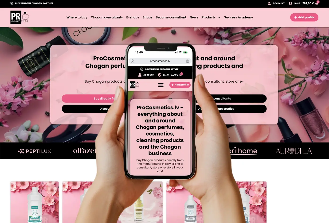 Chogan Consultant Network website